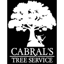 Cabral's Tree Service | Cape Girardeau